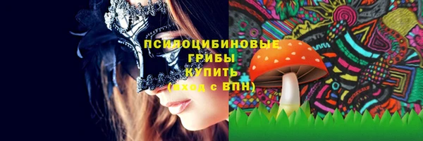 твердый Михайловка