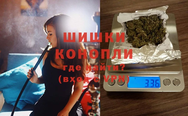 СК Богородск