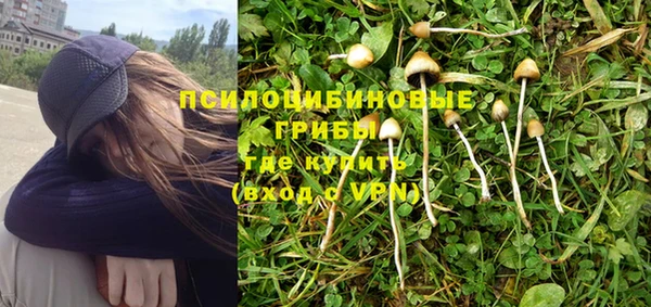 мдпв Медногорск