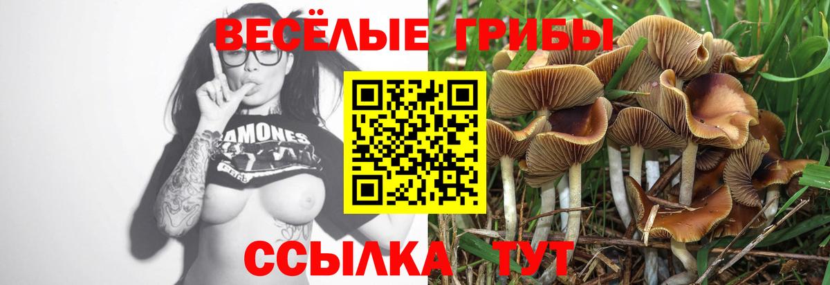 Урус-Мартан  Галлюциногенные грибы MAGIC MUSHROOMS  Вход с VPN 