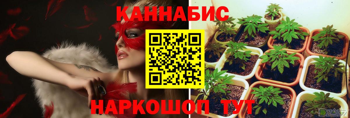 Канабис планчик  Вход с VPN  Конопля SATIVA & INDICA  Урус-Мартан  Марихуана ГИДРОПОН 